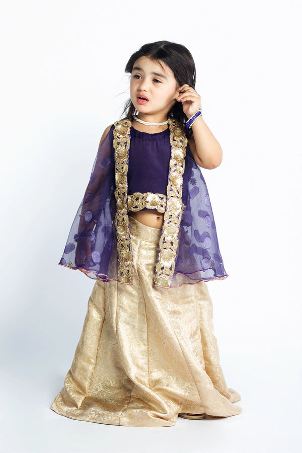 Meharmah Lehenga Choli