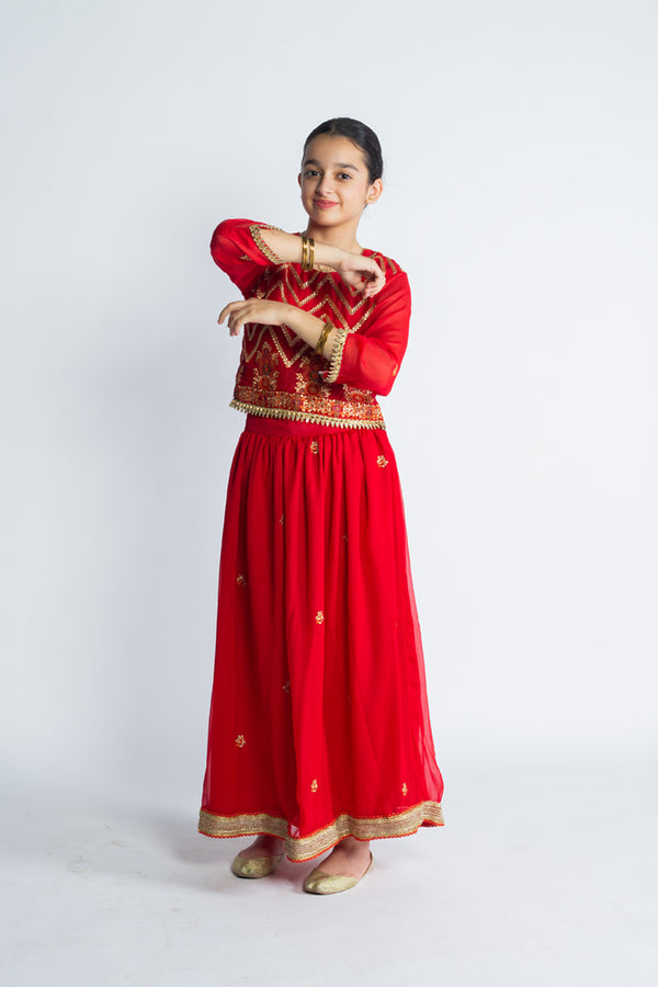 Meharnaz Lehenga Choli